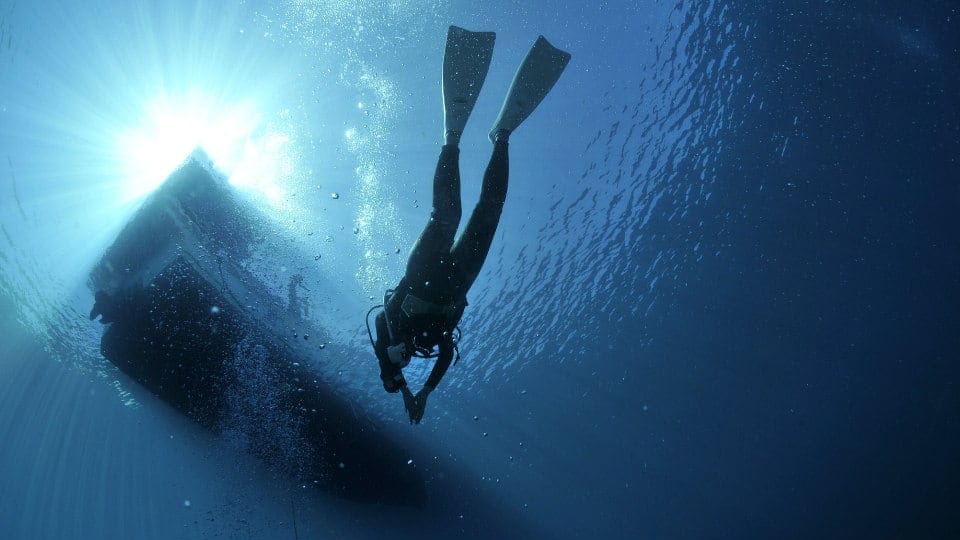 Image of a diver in the sea.