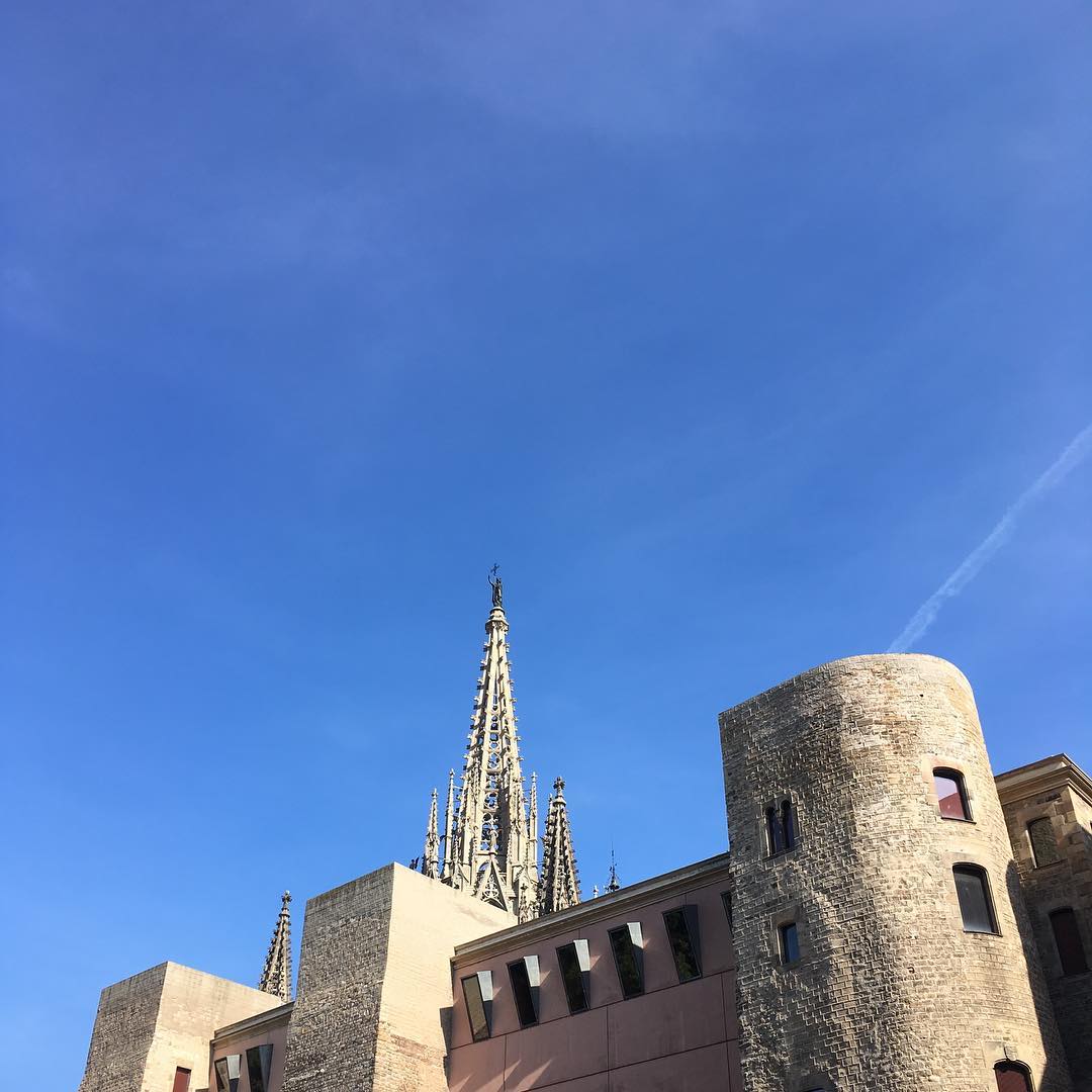 Skyline view with Cathedral of the Holy Cross and Saint Eulalia poking out