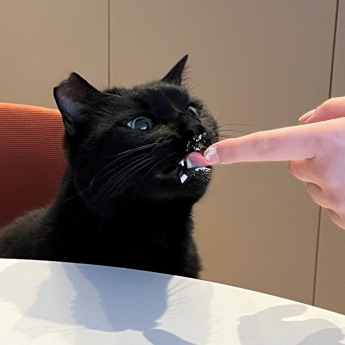 Marko eating Philadelphia Cream Cheese